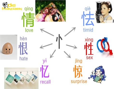 忄心|Chinese characters with the radical 忄 (Xīn)